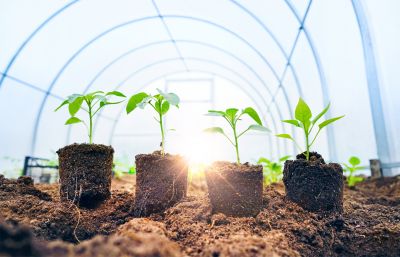 Garden Window Repair